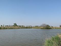 -盐城丹顶鹤湿地生态旅游区