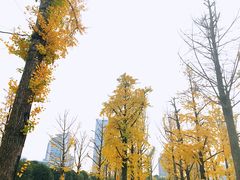 -百林公园-两江幸福广场