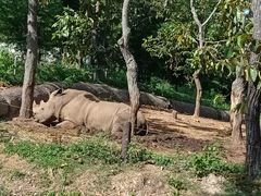 -清迈夜间动物园