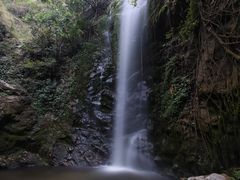 -莫里热带雨林景区