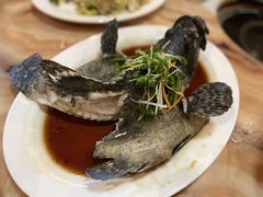 石斑鱼-岛中岛·海鲜大排档·万宁老字号(东澳店)