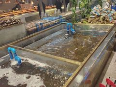 -半岛听涛蒸汽海鲜自助(K11店)
