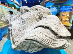 -多彩贵州城极地海洋世界