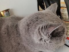 -宠福鑫康馨动物医院·骨科·眼科