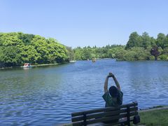 -上海共青森林公园