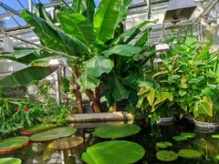 -国家植物园南园