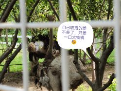 -优沃得自然教育农场·冰雪乐园·生日会·研学