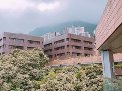 -香港大学