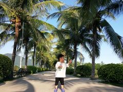 -亚龙湾国际玫瑰谷