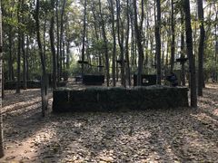 -朝阳公园真人CS