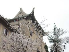 -武汉大学-樱园
