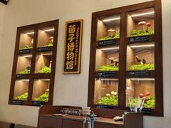 -菌自由丨野生菌火锅特色庭院餐厅(丽江古城店)