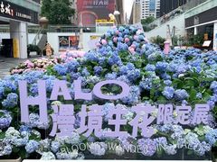 -HALO广场(梨园路店)