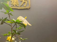 -四方茶集·茶馆(南山科技园店)