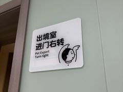 -申普宠物医院·心脏介入·心血管微创(总院)