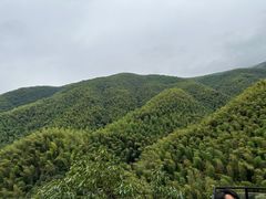 -莫干山风景区
