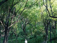 -燕晗山郊野公园