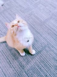 -邵老师打金·黄金加工(大望路总店)
