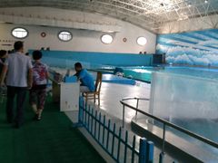 -蓬莱欧乐堡梦幻世界