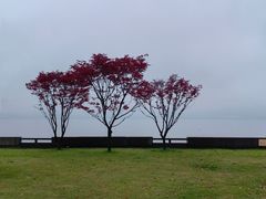 -东钱湖旅游度假区