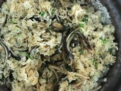 -台山第一家兴华黄鳝饭·黄鳝婆(开平店)