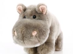 -Africafe(非洲咖啡)