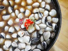 -顺德哥卜卜贝(旗舰店)