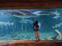 -华夏文旅海洋公园