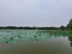 -廊坊市自然公园