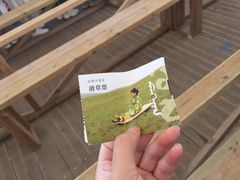 -186彩带河
