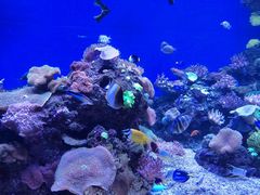 -成都浩海立方海洋公园