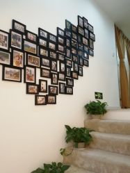 -酉嘉瑜伽YO+YOGA