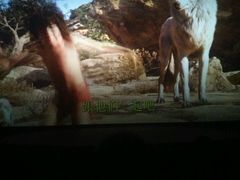 -万达影城(潍坊万达广场IMAX店)