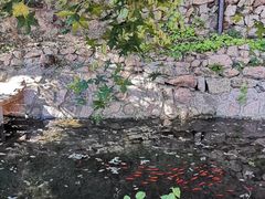 -云峰山自然风景区