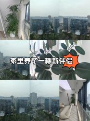 -HEYAN荷妍专业脱毛连锁机构