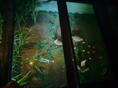 -上海崧泽遗址博物馆