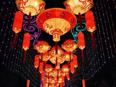 -武汉园博园(武汉自然博物馆)