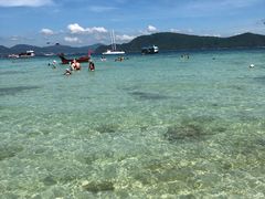 -珊瑚岛