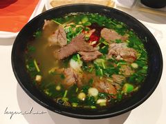 -秦晋面馆(青岛万象城店)