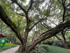 -鹅岭公园瞰胜楼