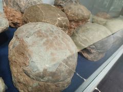 -游龙石文化科普馆