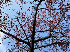 -烈士陵园(地铁站)