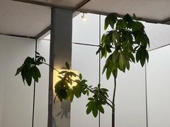 -有趣人类咖啡(永庆坊店)