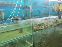 -钱塘府海鲜餐厅