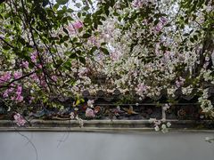 -深圳国际园林花卉博览园