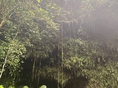 -海口火山口国家地质公园