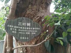 -龙潭水乡