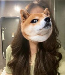 -唐美