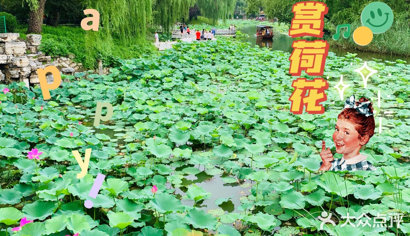 北京最值得去的免费公园｜紫竹院赏荷花🌸
