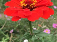 -白鹭湾湿地公园